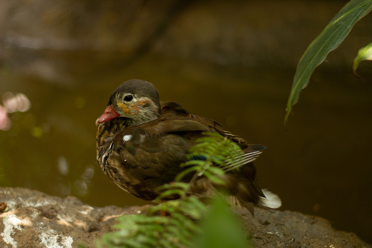 復縁を望む男性が年末年始に連絡再開する際の成功例は？