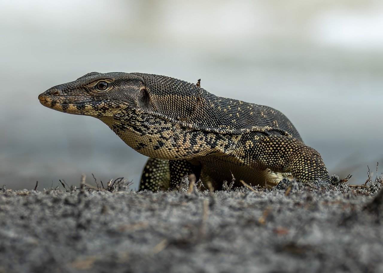 復縁を望む男性が遠距離恋愛で再接近するための方法は？