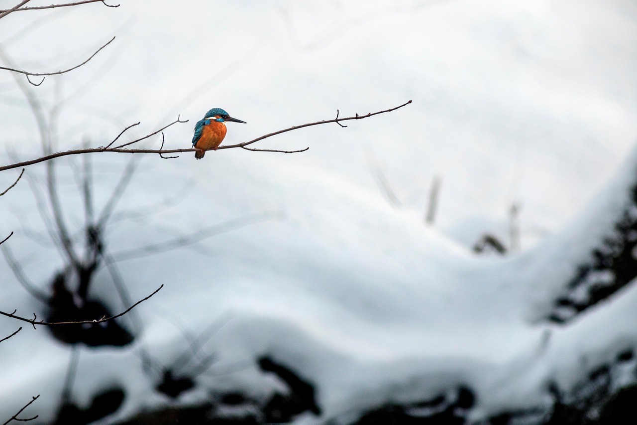 復縁を目指す男性が共通の趣味で関係を再構築する方法は？
